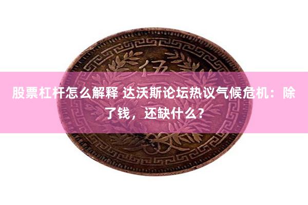 股票杠杆怎么解释 达沃斯论坛热议气候危机：除了钱，还缺什么？