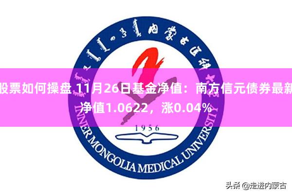 股票如何操盘 11月26日基金净值：南方信元债券最新净值1.0622，涨0.04%