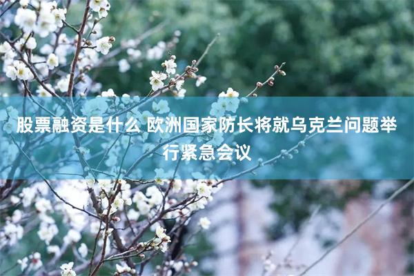股票融资是什么 欧洲国家防长将就乌克兰问题举行紧急会议