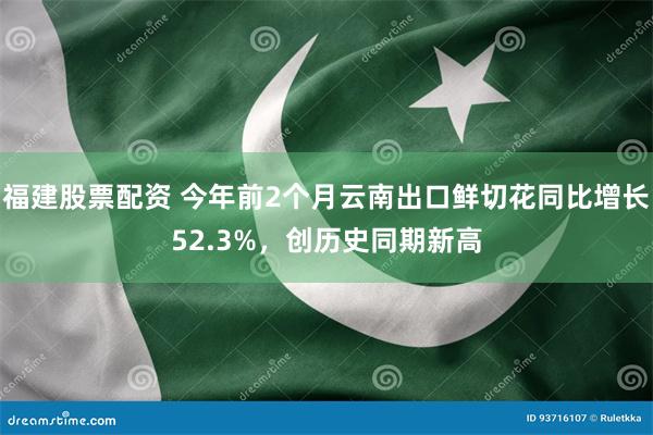 福建股票配资 今年前2个月云南出口鲜切花同比增长52.3%，创历史同期新高