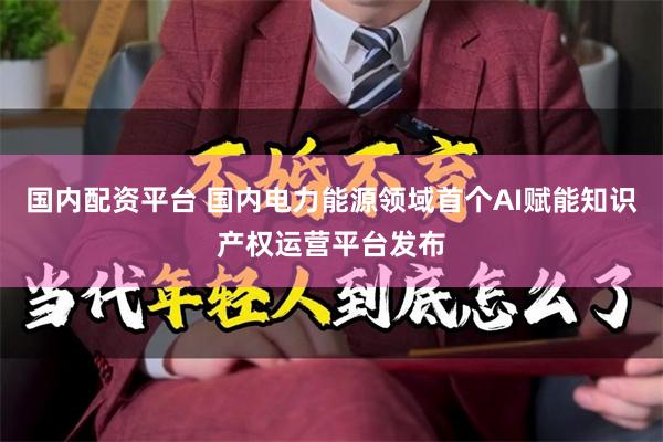 国内配资平台 国内电力能源领域首个AI赋能知识产权运营平台发布