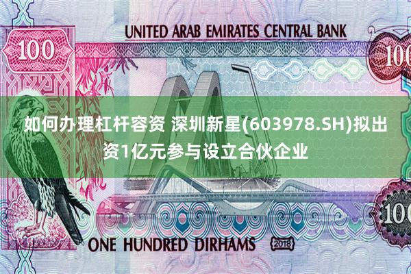 如何办理杠杆容资 深圳新星(603978.SH)拟出资1亿元参与设立合伙企业