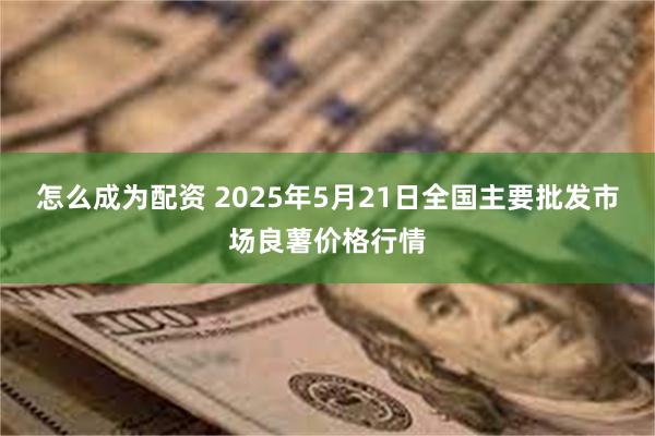 怎么成为配资 2025年5月21日全国主要批发市场良薯价格行情