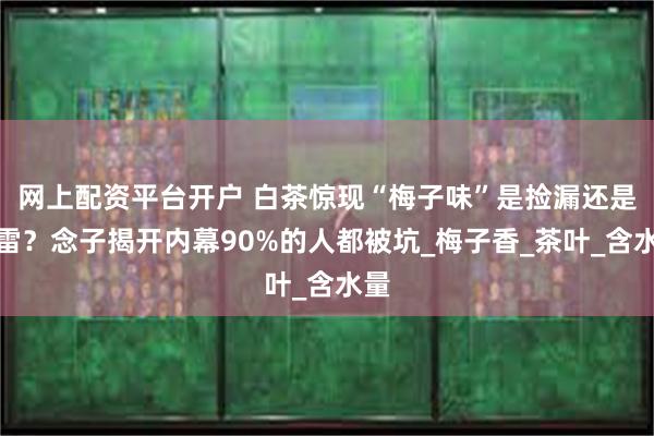 网上配资平台开户 白茶惊现“梅子味”是捡漏还是踩雷？念子揭开内幕90%的人都被坑_梅子香_茶叶_含水量