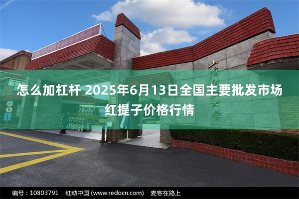 怎么加杠杆 2025年6月13日全国主要批发市场红提子价格行情