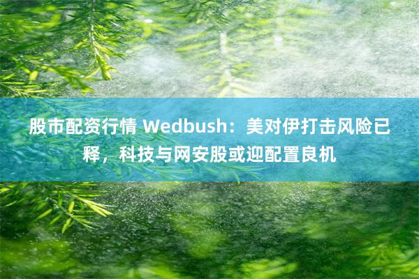 股市配资行情 Wedbush：美对伊打击风险已释，科技与网安股或迎配置良机