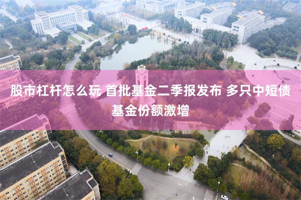 股市杠杆怎么玩 首批基金二季报发布 多只中短债基金份额激增