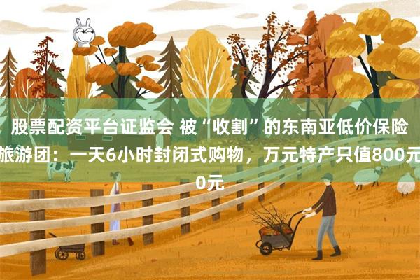 股票配资平台证监会 被“收割”的东南亚低价保险旅游团：一天6小时封闭式购物，万元特产只值800元
