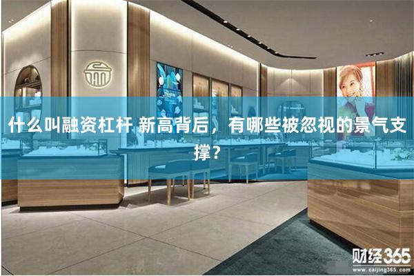 什么叫融资杠杆 新高背后，有哪些被忽视的景气支撑？