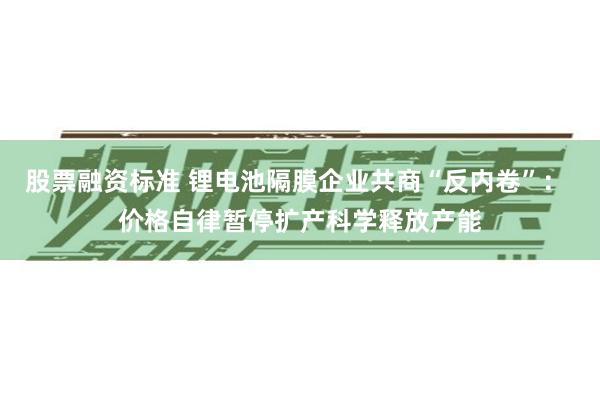 股票融资标准 锂电池隔膜企业共商“反内卷”： 价格自律暂停扩产科学释放产能