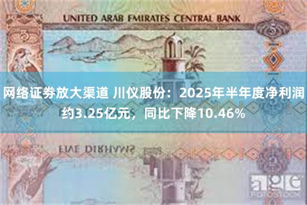 网络证劵放大渠道 川仪股份：2025年半年度净利润约3.25亿元，同比下降10.46%